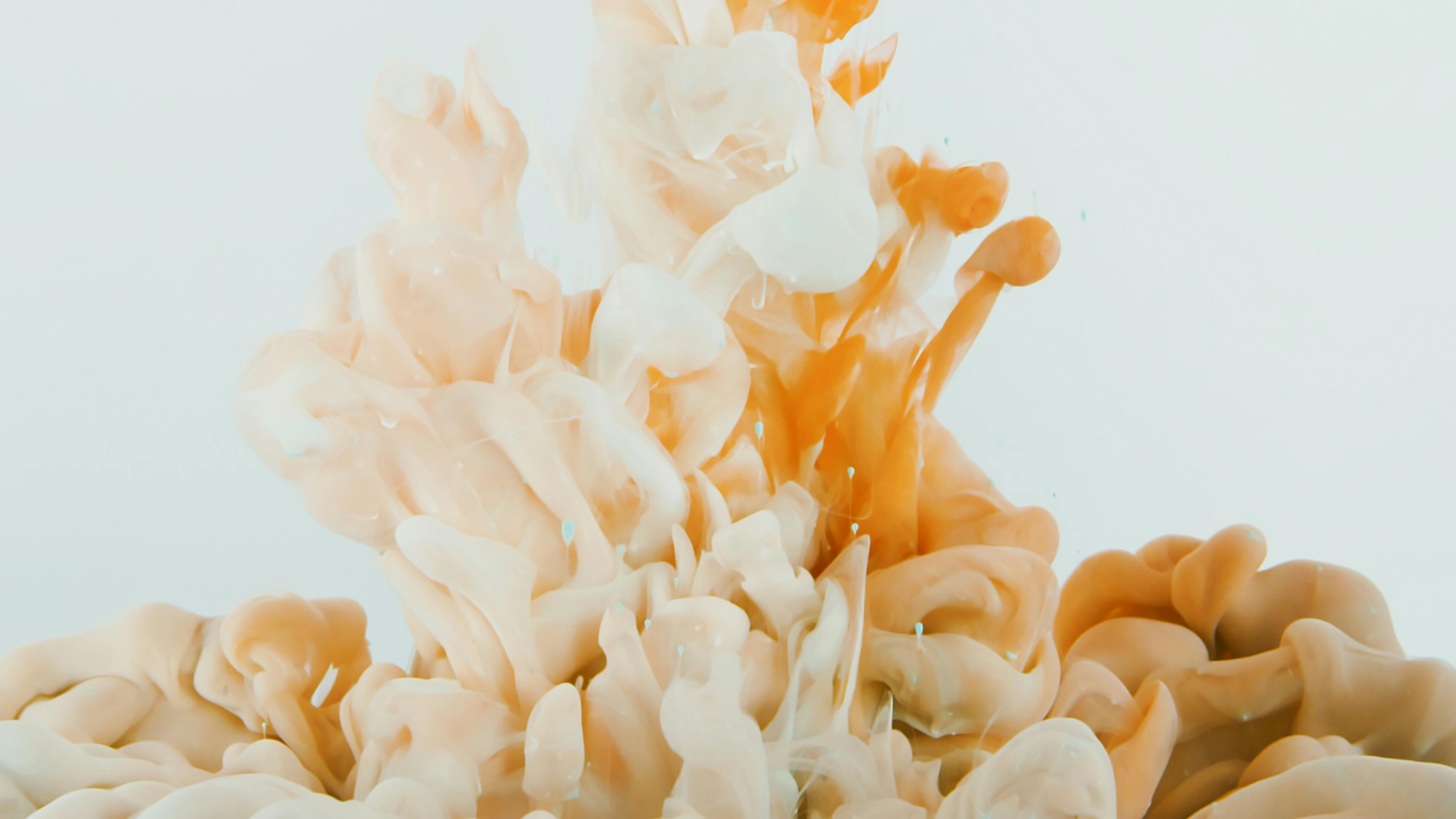 Portfolio showcase 1